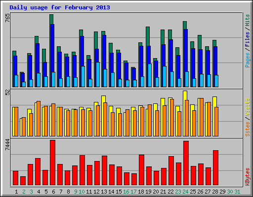Daily usage for February 2013