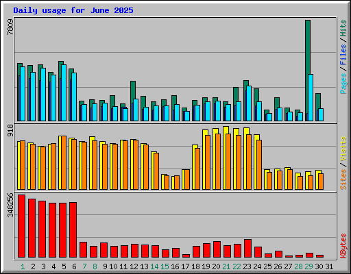 Daily usage for June 2025