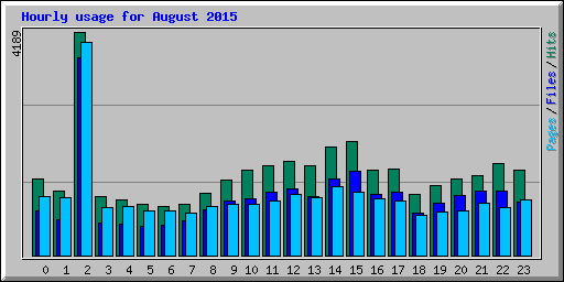 Hourly usage for August 2015