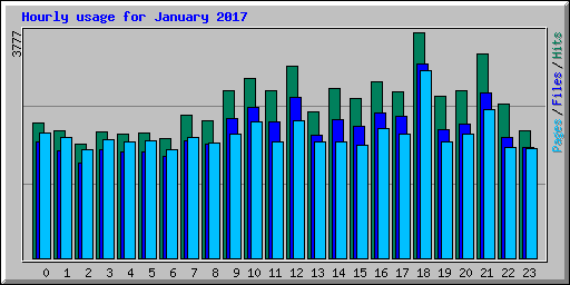 Hourly usage for January 2017