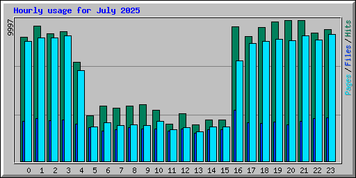 Hourly usage for July 2025