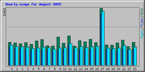 Hourly usage for August 2025