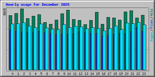 Hourly usage for December 2025