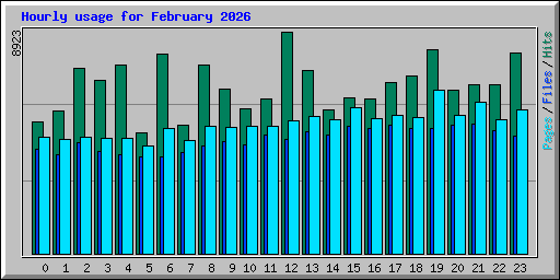 Hourly usage for February 2026